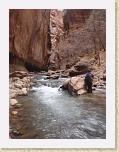 Zion 039 * Pausing to take it all in * Pausing to take it all in * 1920 x 2560 * (1014KB)